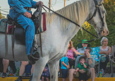 Horse and Rider in Parade