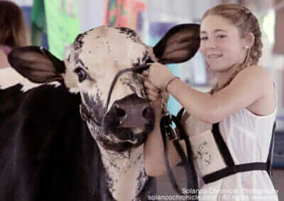 Girl Showing a Cow