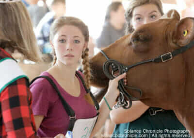 Girl Showing Cow