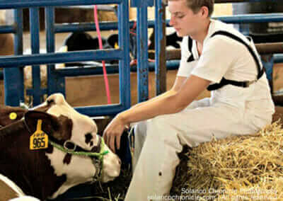 Girl Sitting with a Cow
