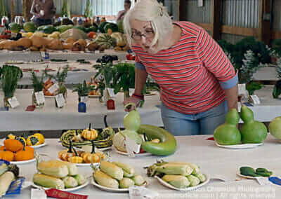 Vegetable Exhibit